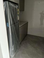 Clavon (D5), Apartment #528781421